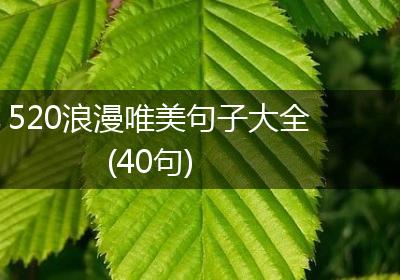 520浪漫唯美句子大全(40句)