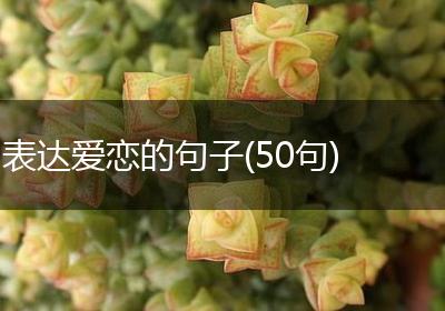 表达爱恋的句子(50句)