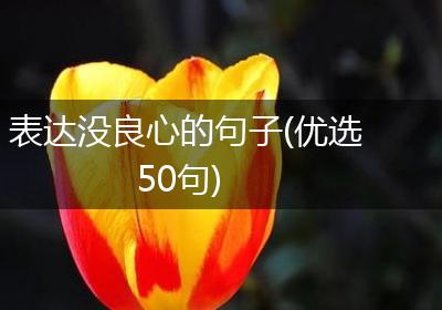 表达没良心的句子(优选50句)