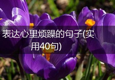 表达心里烦躁的句子(实用40句)