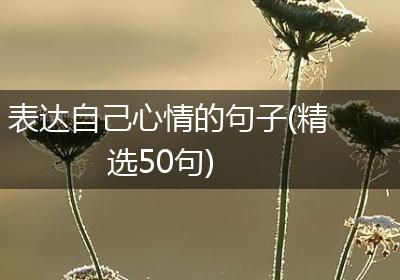 表达自己心情的句子(精选50句)