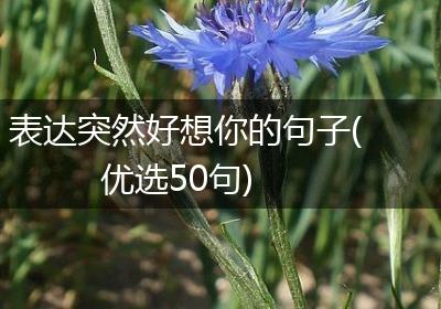 表达突然好想你的句子(优选50句)