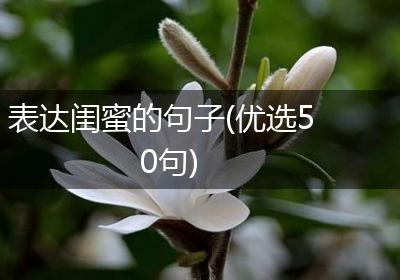 表达闺蜜的句子(优选50句)