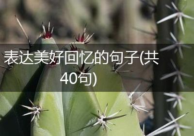 表达美好回忆的句子(共40句)