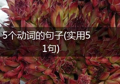 5个动词的句子(实用51句)