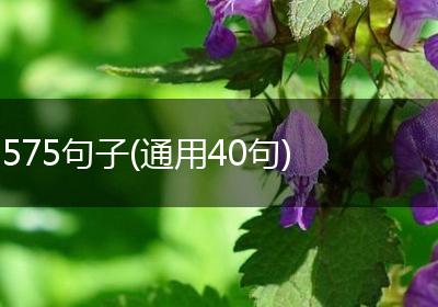 575句子(通用40句)