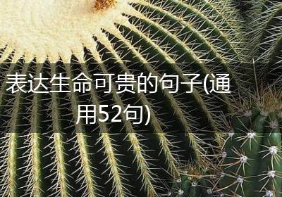 表达生命可贵的句子(通用52句)