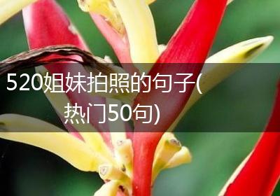 520姐妹拍照的句子(热门50句)