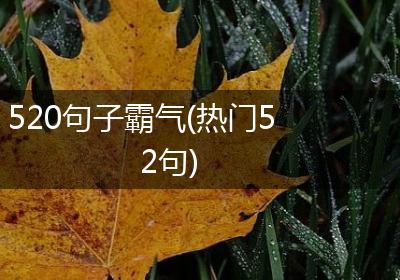 520句子霸气(热门52句)