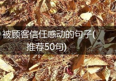 被顾客信任感动的句子(推荐50句)