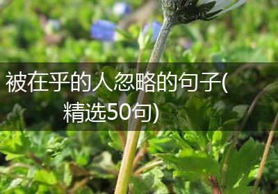 被在乎的人忽略的句子(精选50句)