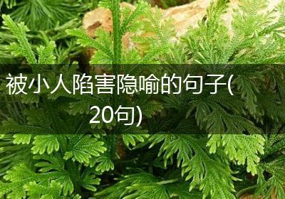 被小人陷害隐喻的句子(20句)