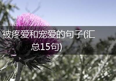 被疼爱和宠爱的句子(汇总15句)