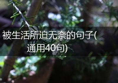 被生活所迫无奈的句子(通用40句)
