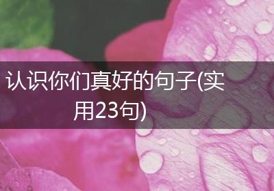 认识你们真好的句子(实用23句)