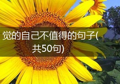 觉的自己不值得的句子(共50句)