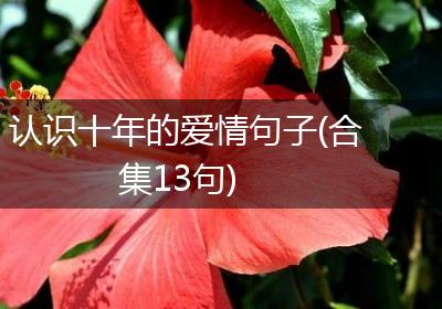 认识十年的爱情句子(合集13句)