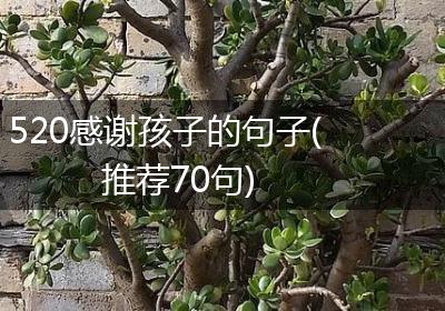 520感谢孩子的句子(推荐70句)