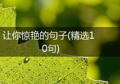 让你惊艳的句子(精选10句)