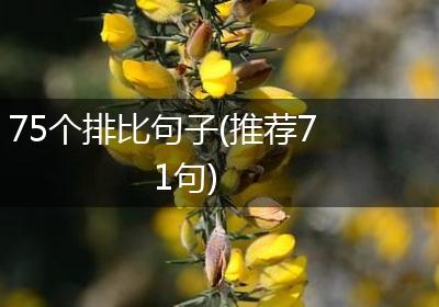 75个排比句子(推荐71句)