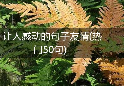 让人感动的句子友情(热门50句)