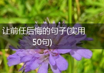 让前任后悔的句子(实用50句)
