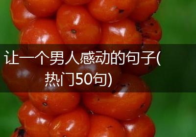 让一个男人感动的句子(热门50句)