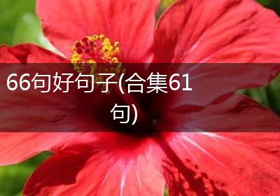 66句好句子(合集61句)
