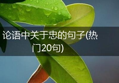 论语中关于忠的句子(热门20句)