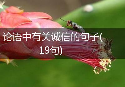 论语中有关诚信的句子(19句)