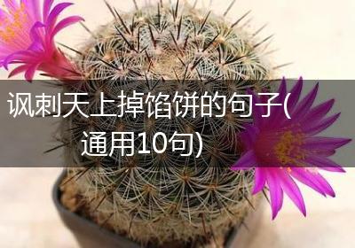 讽刺天上掉馅饼的句子(通用10句)