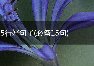 5行好句子(必备15句)