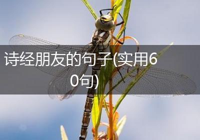 诗经朋友的句子(实用60句)