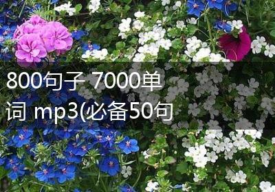 800句子 7000单词 mp3(必备50句)