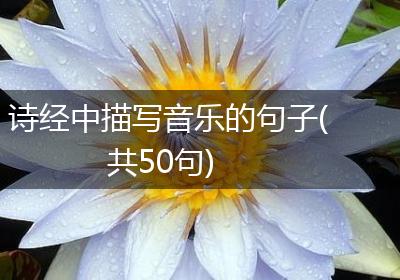 诗经中描写音乐的句子(共50句)