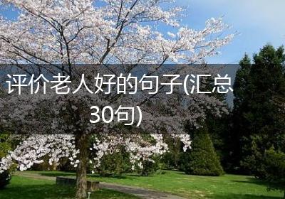 评价老人好的句子(汇总30句)