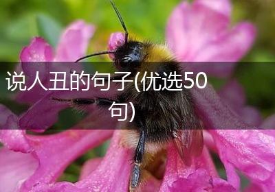 说人丑的句子(优选50句)