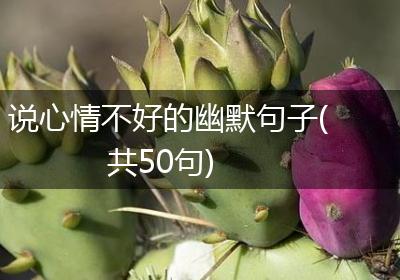 说心情不好的幽默句子(共50句)