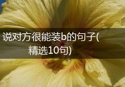 说对方很能装b的句子(精选10句)