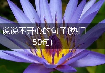 说说不开心的句子(热门50句)