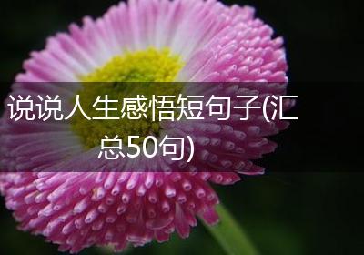 说说人生感悟短句子(汇总50句)