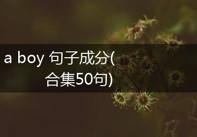 a boy 句子成分(合集50句)