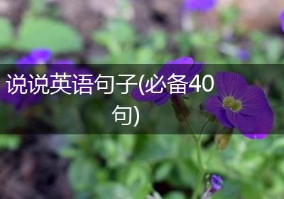 说说英语句子(必备40句)