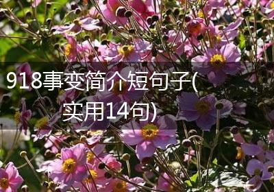 918事变简介短句子(实用14句)