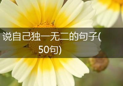 说自己独一无二的句子(50句)