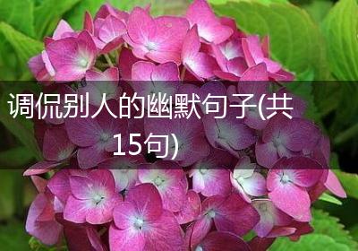调侃别人的幽默句子(共15句)