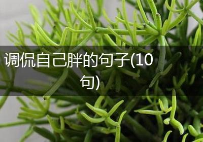 调侃自己胖的句子(10句)