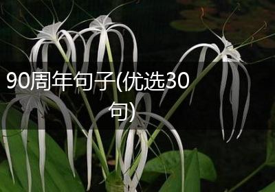 90周年句子(优选30句)