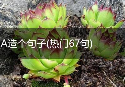 A造个句子(热门67句)