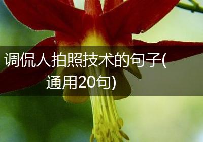调侃人拍照技术的句子(通用20句)